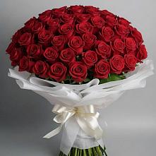 Букет 101 Красная роза Блэк Мэджик в Тимшино