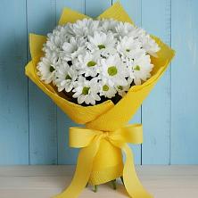 Букет цветов из:  Хризантемы в Тимшино