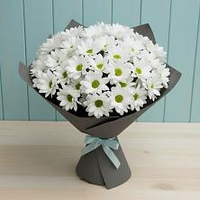 Букет цветов из:  Хризантемы в Тимшино