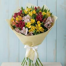 Букет цветов из:  Альстромерии #REPLACE_PRED# Тимшино