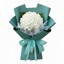 Букет цветов из:  Гортензия в Тимшино